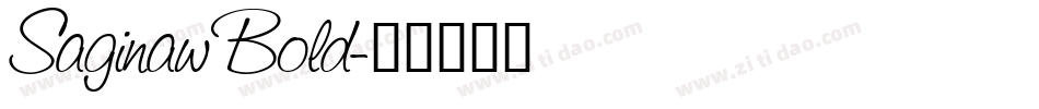 Saginaw Bold字体转换